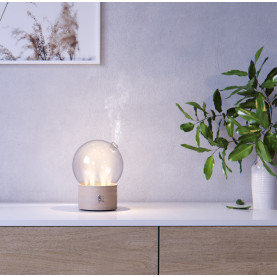 Bulle en Seco Madera y Cristal - 1 pieza | Inula