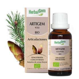 ARTIGEM - 15 ml | Inula