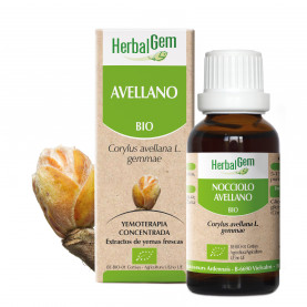 AVELLANO - 15 ml | Inula