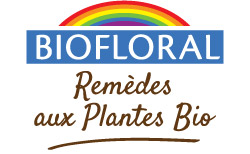 El Grupo Inula - Biofloral Biofloral - Remedios de plantas ecológicas
